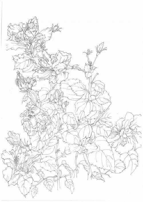 吉林医药学院毕业证校长名字